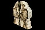 Tall Petrified Wood Bookends - McDermitt, Oregon #112018-2